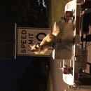 Featuring, Atti! (787312)