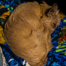 Nighttime Atti (787283)