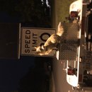 Featuring, Atti! (787733)