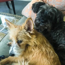 Featuring, Atti! (787696)