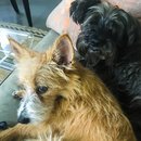 Featuring, Atti! (788026)