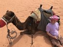 Wadi Rum Desert Tour (787968)