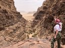Wadi Rum Desert Tour (787934)