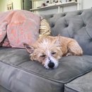 Featuring, Atti! (788039)