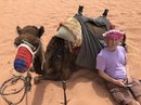 Wadi Rum Desert Tour (788092)