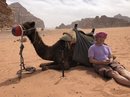Wadi Rum Desert Tour (788010)