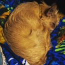 Nighttime Atti (787964)