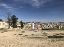 Jerash, Amman, Jordan (787952)