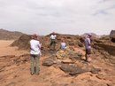 Wadi Rum Desert Tour (788102)