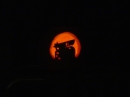 Pumpkin Carving 2005 (18122)