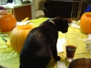 Pumpkin Carving 2005 (18102)