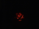 Pumpkin Carving 2005 (18124)