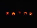 Pumpkin Carving 2005 (18121)