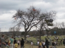 2008 Austin Kite Festival (19435)