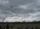 2008 Austin Kite Festival (19464)