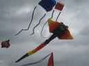 2008 Austin Kite Festival (19420)