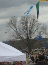 2008 Austin Kite Festival (19446)