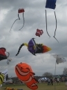 2008 Austin Kite Festival (19430)