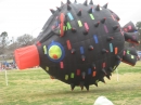 2008 Austin Kite Festival (19425)