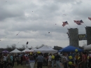 2008 Austin Kite Festival (19427)