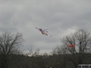 2008 Austin Kite Festival (19437)