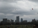 2008 Austin Kite Festival (19454)
