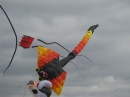2008 Austin Kite Festival (19453)