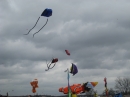 2008 Austin Kite Festival (19426)
