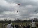 2008 Austin Kite Festival (19419)