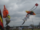 2008 Austin Kite Festival (19432)