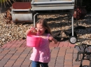 Adams Easter Egg Hunt (20095)