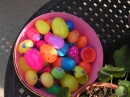 Adams Easter Egg Hunt (20093)