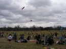 2008 Austin Kite Festival (20053)