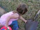 Adams Easter Egg Hunt (20098)