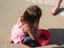 Adams Easter Egg Hunt (20069)