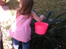 Adams Easter Egg Hunt (20081)