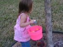 Adams Easter Egg Hunt (20109)