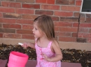 Adams Easter Egg Hunt (20099)