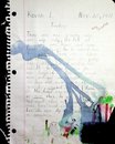 Project Life - 3rd Grade - Journal (903380)