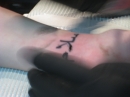 Tracy Getting her Tattoo (20146)