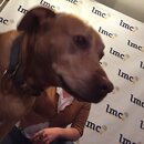 Prepping for LMC County Convention (971769)