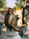 Swayambhunath Monkey Temple in Kathmandu (972476)