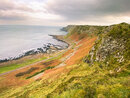 The Giant's Causeway (972596)