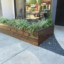 Random Photos 2016 (973281)