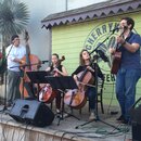 American Dreamer at Cherrywood (973361)