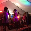 PeteFest 2016 (973424)