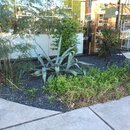 Random Photos 2016 (973411)