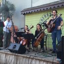 American Dreamer at Cherrywood (973469)