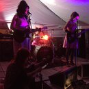 PeteFest 2016 (973643)