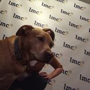 Prepping for LMC County Convention (973445)